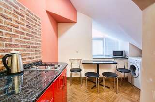 Апартаменты Super Apartments on Kostyushka str. Львов Апартаменты-20